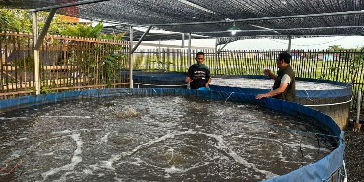 Paman Birin Semangati Pembudidaya Ikan Tawar Bioflok di Kabupaten Banjar