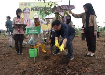 Paman Birin Inisiasi Penghijauan di Kawasan Industri Batulicin
