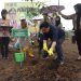 Paman Birin Inisiasi Penghijauan di Kawasan Industri Batulicin