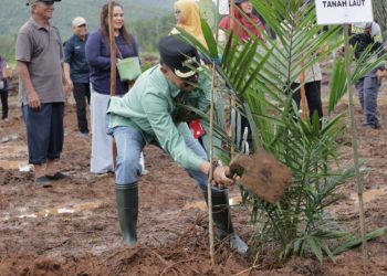 Tingkatkan Kesejahteraan Petani, Paman Birin Gagas Penanaman Sawit Tumpang Sari Padi Gogo