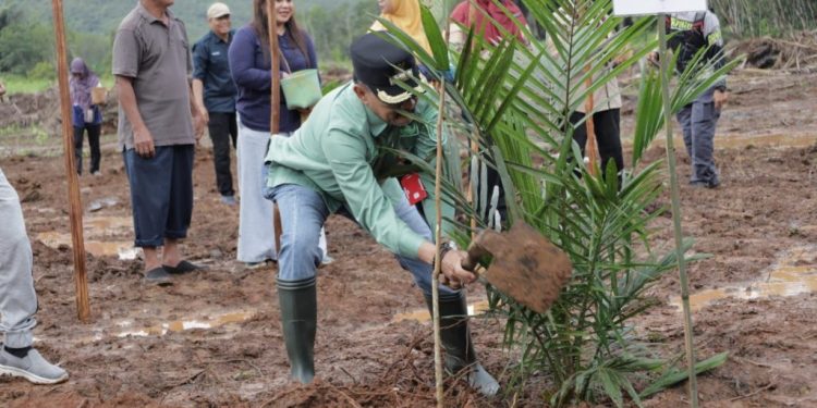 Tingkatkan Kesejahteraan Petani, Paman Birin Gagas Penanaman Sawit Tumpang Sari Padi Gogo