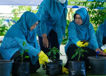 HKG PKK Ke-52, Siti Wasilah Gelorakan Gerakan Menanam Cabai