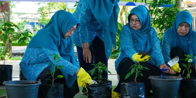 HKG PKK Ke-52, Siti Wasilah Gelorakan Gerakan Menanam Cabai