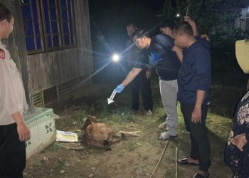 Anak Tega Bunuh Ayah Kandung di Desa Awang Barabai, Ternyata Ini Pemicunya