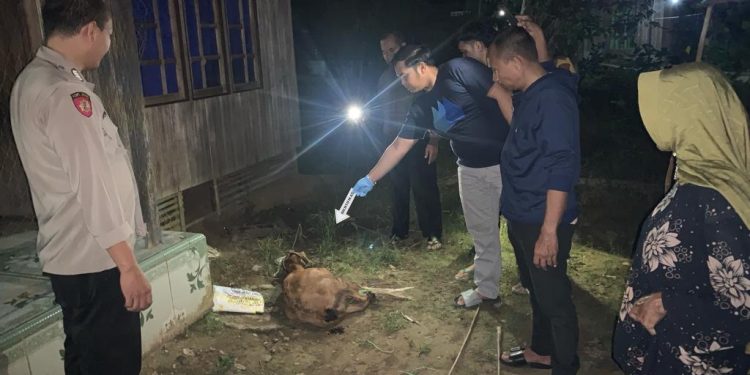 Anak Tega Bunuh Ayah Kandung di Desa Awang Barabai, Ternyata Ini Pemicunya