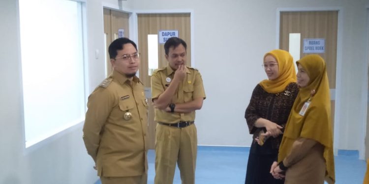 Aulia Resmikan Ruang Rawat Inap PICU, NICU dan Perinatologi RSUD H Damanhuri