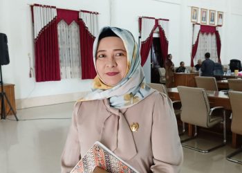 Wakil Ketua DPRD Barsel Apresiasi Kinerja Penjabat Bupati