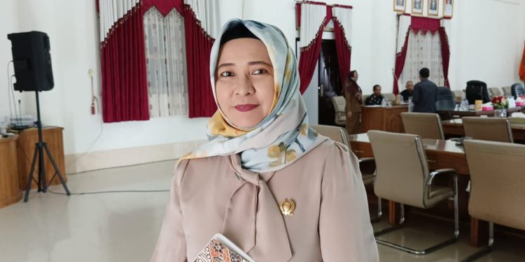 Wakil Ketua DPRD Barsel Apresiasi Kinerja Penjabat Bupati