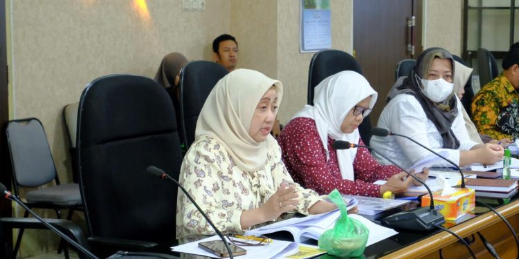 Pansus I DPRD Kalsel Soroti Laporan Pengelolaan Aset