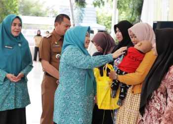 Acil Odah Tekankan Pentingnya Keluarga Sehat, Tangguh dan Sejahtera