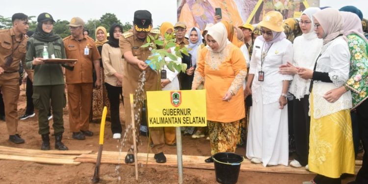 Kementerian LHK Dukung Alokasi Dana Penurunan Emisi Karbon di Banua