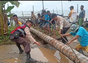 Pohon Tumbang Diterjang Angin Kencang, Akses Jalan Antar Desa Terganggu