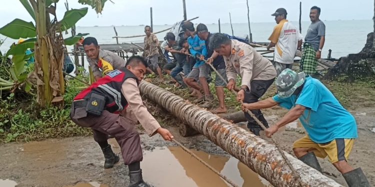 Pohon Tumbang Diterjang Angin Kencang, Akses Jalan Antar Desa Terganggu