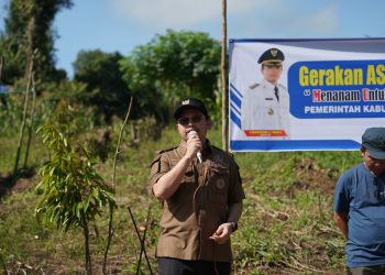 Bupati Aulia Pimpin Program Gerakan ASN Menanam Pohon