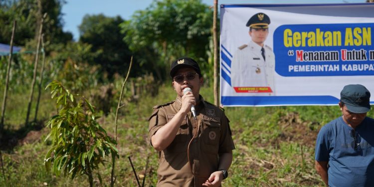 Bupati Aulia Pimpin Program Gerakan ASN Menanam Pohon