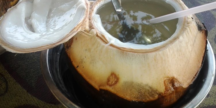 5 Manfaat Mengonsumsi Kelapa Bakar bagi Kesehatan