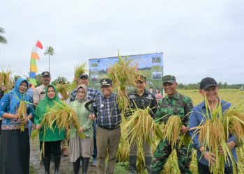Pj Bupati Bersama Forkopimda Lakukan Panen di Desa Warna Sari