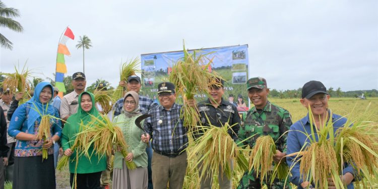 Pj Bupati Bersama Forkopimda Lakukan Panen di Desa Warna Sari