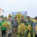 Pj Bupati Bersama Forkopimda Lakukan Panen di Desa Warna Sari