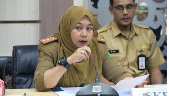 Ini yang Dilakukan Dispersip Tanbu Menuju Standar Perpustakaan Nasional