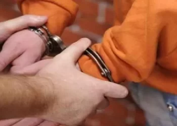 Aksinya Terekam CCTV, Polisi Ringkus Pelaku Pencurian yang Viral di Sosmed