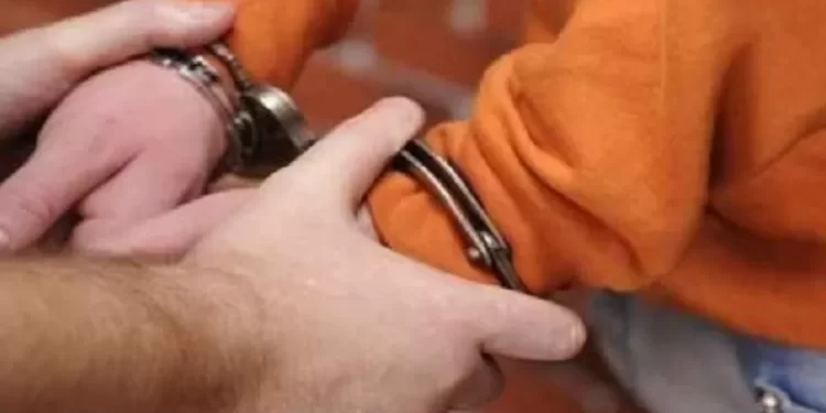 Aksinya Terekam CCTV, Polisi Ringkus Pelaku Pencurian yang Viral di Sosmed