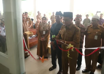 Diresmikan Zairullah, Kecamatan Kusan Tengah Miliki Puskesmas