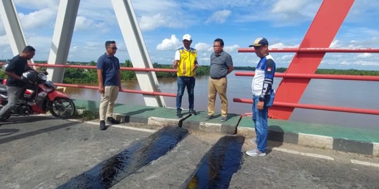 Pastikan Aman Dilintasi, Erlin Hardi Tinjau Jembatan Pulau Telo