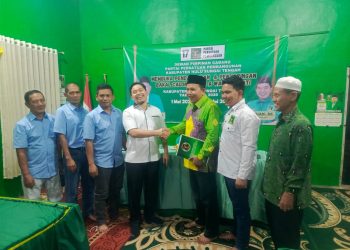 Setelah Demokrat dan NasDem, Aulia-Mansyah Meminang PPP dan PDIP
