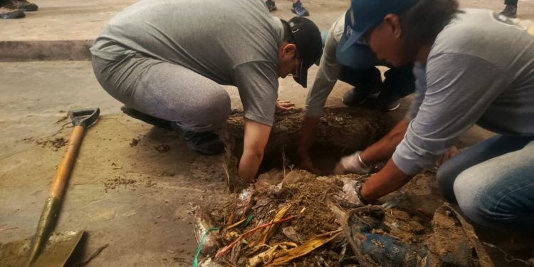 Pimpin Giat Jumat Bersih, Aulia: Ayo Jangan Takut Kotor!