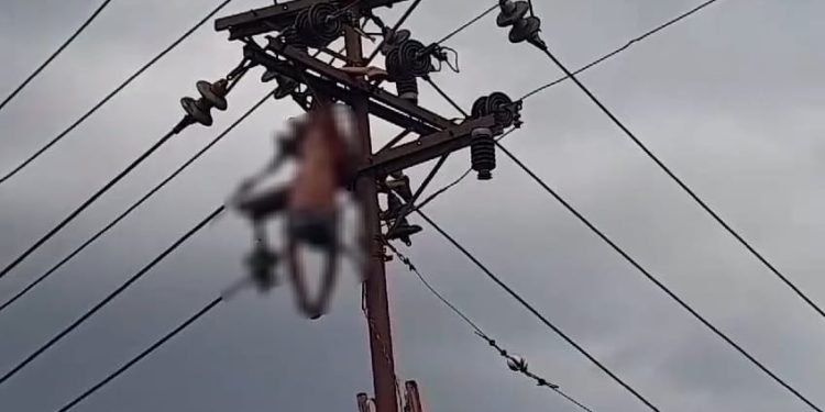 Geger! Warga Tamban Tewas Tergantung di Tiang Listrik