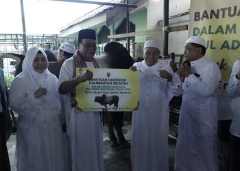 Paman Birin dan Acil Odah Serahkan Sapi Seberat 816 Kilogram di Masjid Sabilal Muhtadin