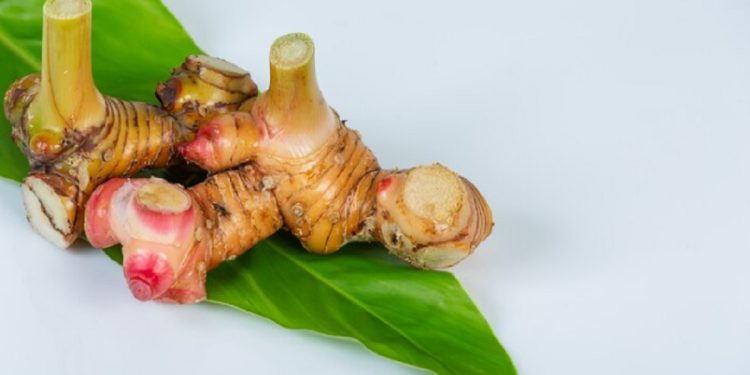 4 Manfaat Lengkuas bagi Kesehatan, Efektif untuk Kesuburan Pria