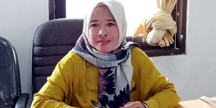 Nurul Hikmah: Literasi Digital Perlu Ditanamkan kepada Generasi Muda