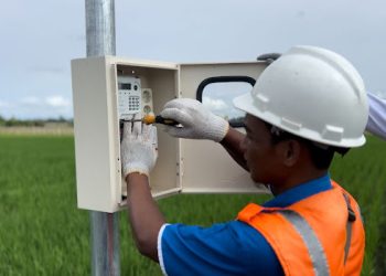 Program Electrifying Agriculture PLN Mampu Tingkatkan Produktivitas Pertanian Padi