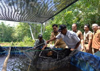 Satu-satunya di Kalsel, Kabupaten HST Dapatkan Apresiasi Pola Pangan Harapan dari Badan Pangan Nasional