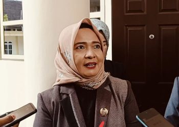 Terkait Musyawarah RPJPD, Begini Tanggapan Wakil Ketua DPRD Barsel