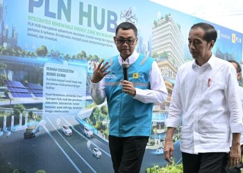 Jokowi Tandai Pembangunan PLN Hub, Pusat Ekosistem Transisi Energi dan Layanan Digital di Jantung IKN