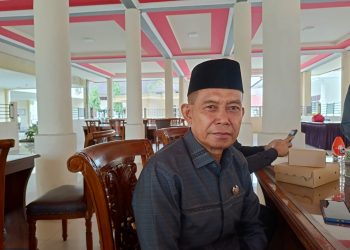 Anggota DPRD Barsel Minta Pengawasan Proyek Diperketat