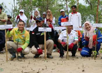 Peringati Hari Lingkungan Hidup, PT ITP Laksanakan Aksi Penghijauan