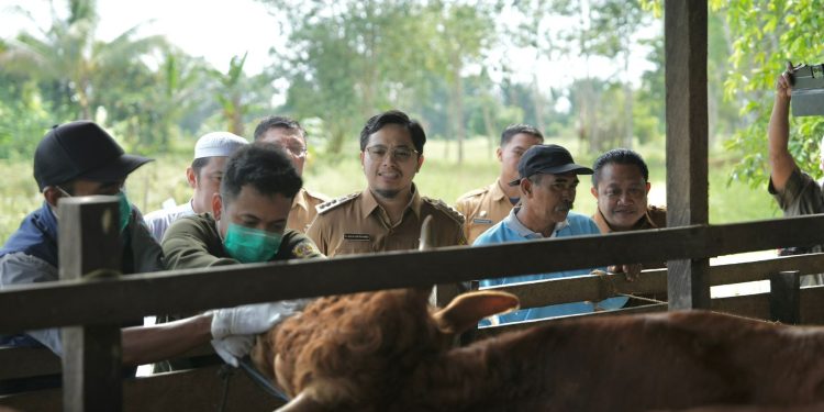 Aulia Ingatkan Hewan Qurban Harus Memenuhi Kaidah Agama dan Kesehatan