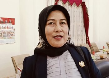 Wakil Ketua DPRD Barsel Harapkan Desa Bina Pemuda Terkait Kebudayaan