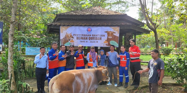 Idul Adha 1445 H, Indocement Salurkan Ratusan Hewan Kurban