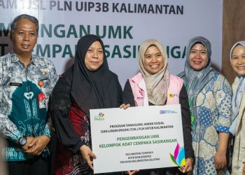 Perkuat Peran Tangguh Perempuan, Srikandi PLN Dukung UMKM Adat Sasirangan di Kalimantan Selatan