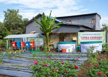 Pacu Roda Ekonomi KWT Citra Lestari, Srikandi PLN Salurkan Bantuan Bioflok dan Budikdamber