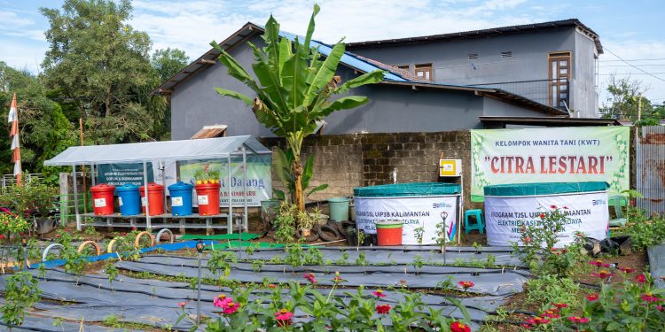 Pacu Roda Ekonomi KWT Citra Lestari, Srikandi PLN Salurkan Bantuan Bioflok dan Budikdamber