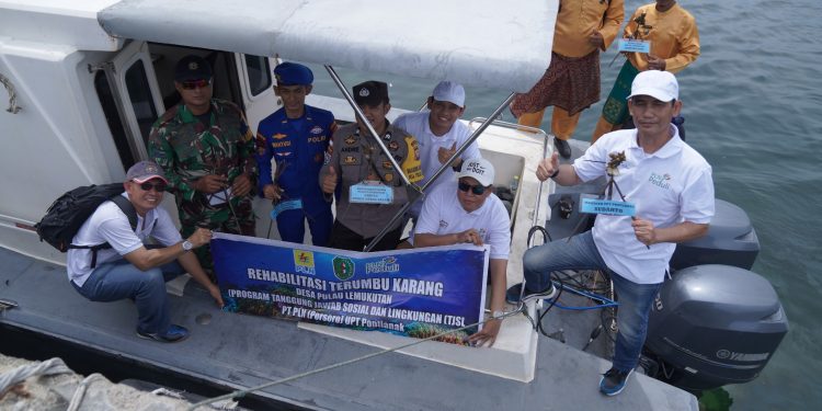 Jaga Kelestarian Biota Laut, PLN Rehabilitasi Terumbu Karang Pulau Lemukutan