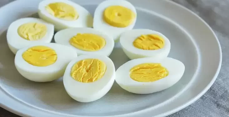 Apakah Makan Telur Setiap Hari Menyebabkan Kolesterol?