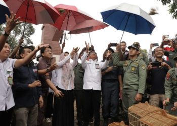 Pelepasliaran Ribuan Burung di Tahura Sultan Adam Mandiangin