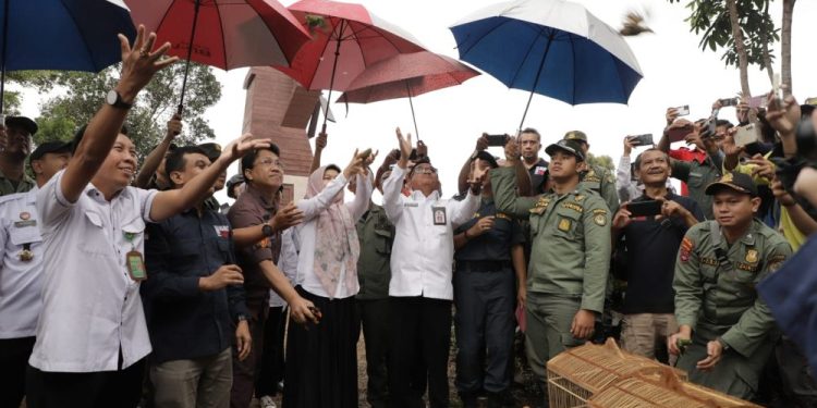 Pelepasliaran Ribuan Burung di Tahura Sultan Adam Mandiangin